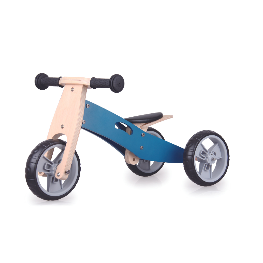 2 in 1 Mini Balance Bike