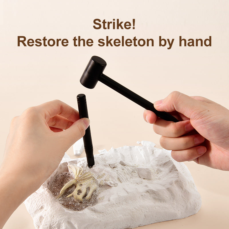 Pterosaur Dino Fossil Dig Kit