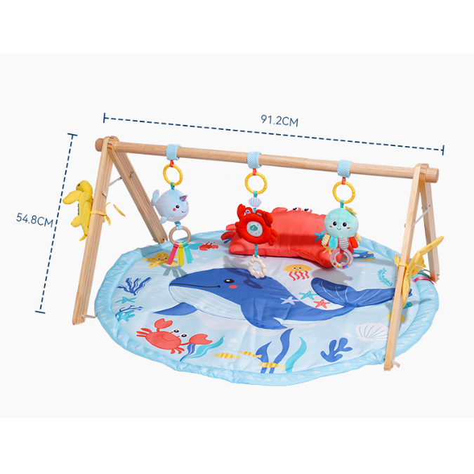playmat and play gym