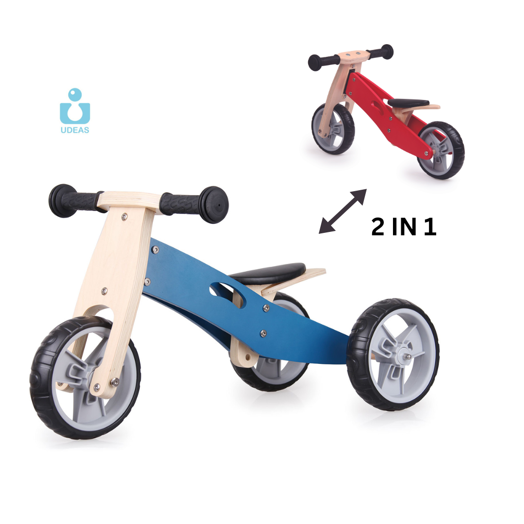 2 in 1 Mini Balance Bike