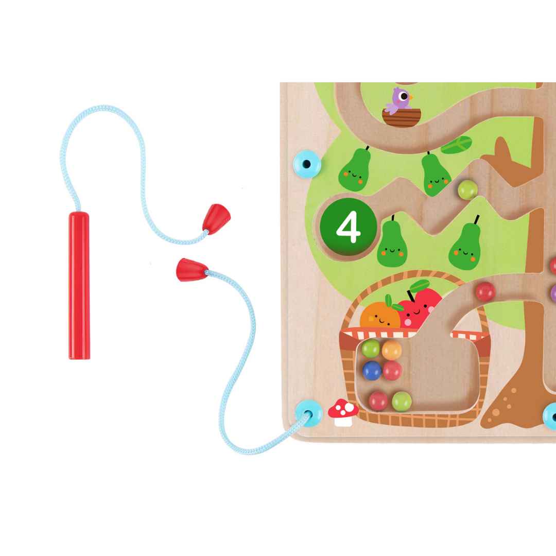 Maze toy