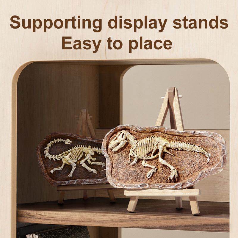 Brontosaurus Dino Fossil Dig Kit