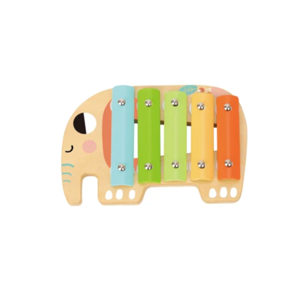 Tooky Toy Music Instrument Set with Wooden Tray