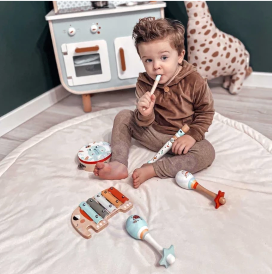 Tooky Toy Music Instrument Set with Wooden Tray