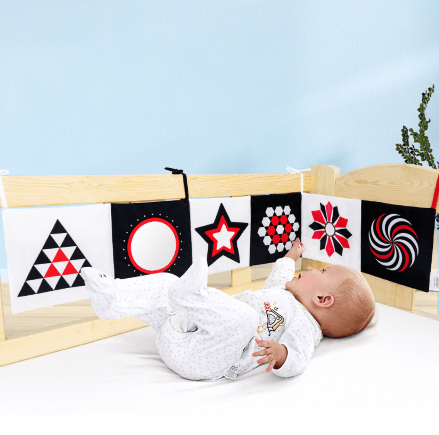 baby book