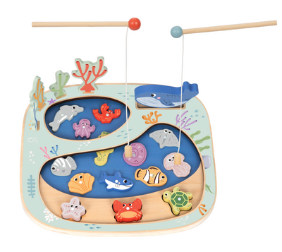 Rockpool Fishing & Balance Game
