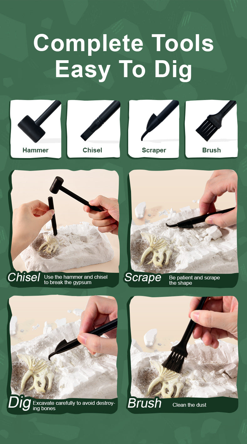 Brontosaurus Dino Fossil Dig Kit
