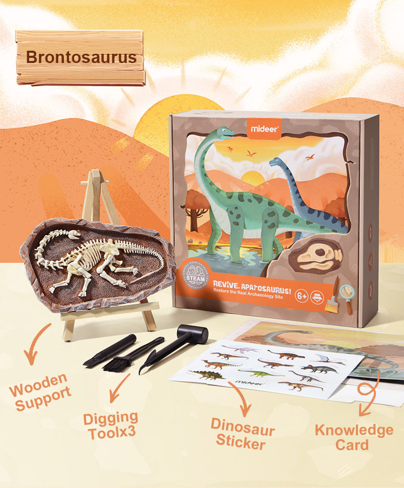 Brontosaurus Dino Fossil Dig Kit