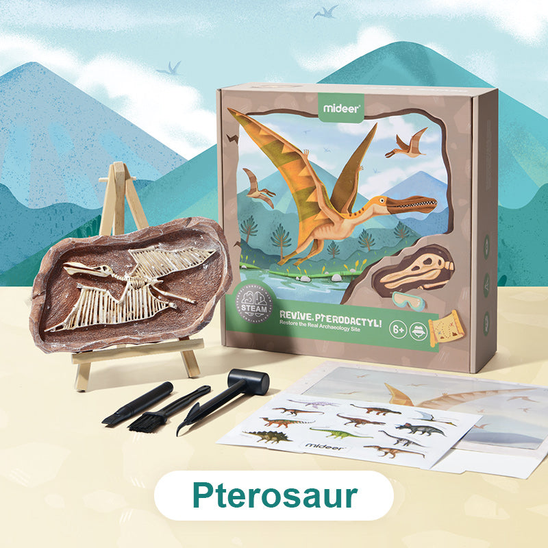 Pterosaur Dino Fossil Dig Kit