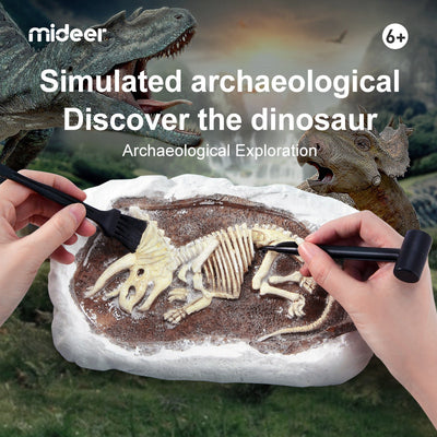 Brontosaurus Dino Fossil Dig Kit