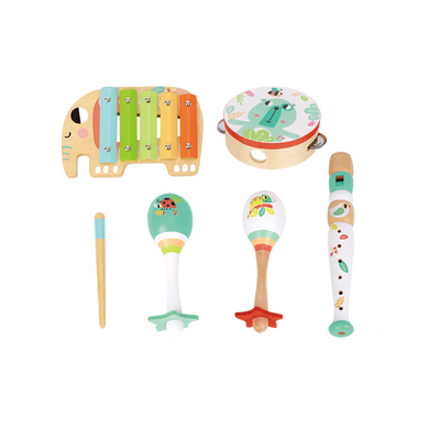Tooky Toy Music Instrument Set