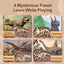 Pterosaur Dino Fossil Dig Kit