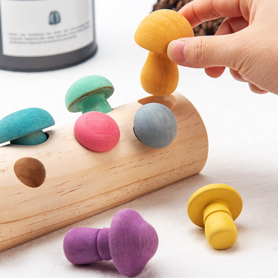 Wooden Mushroom Sorting Puzzle Toy