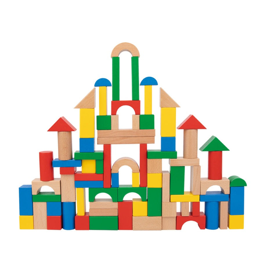 Tooky Toy Classic Wooden Block Set - 100 Pcs