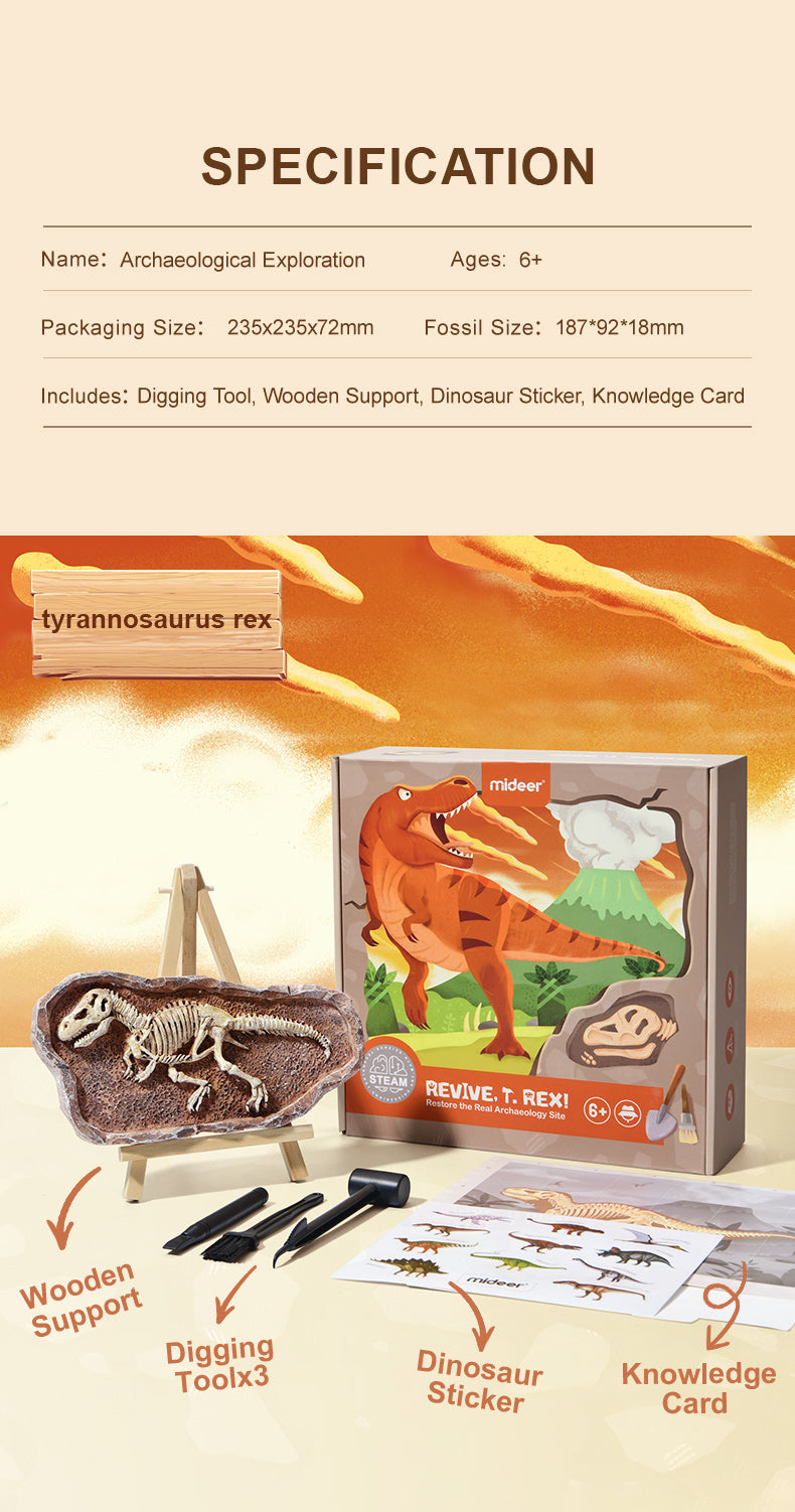 T-Rex Dino Fossil Dig Kit