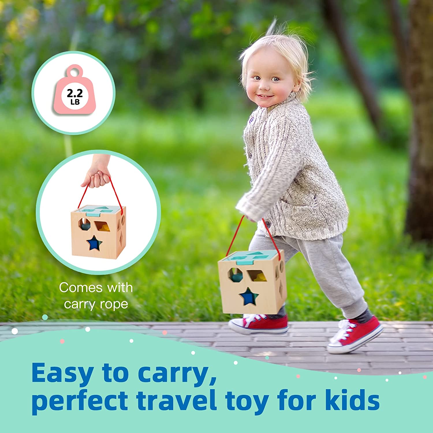 Wooden Shape Sorter NZ-12 Piece Cube Educational Sorting Toy for